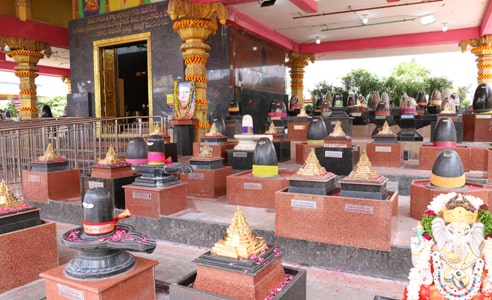 sri-chakra-golden-linga