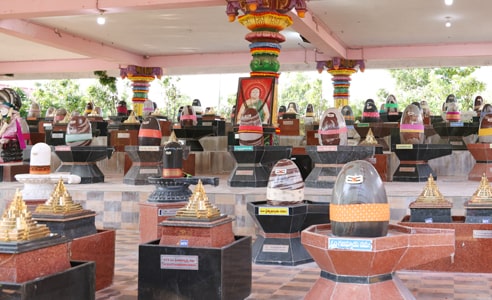 sri-chakra-naga-sai-darbar